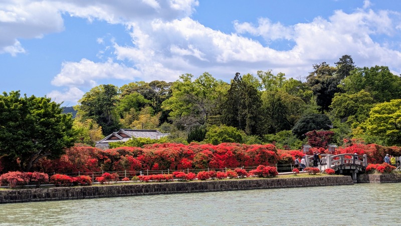 PXL_20250429_020558230~2