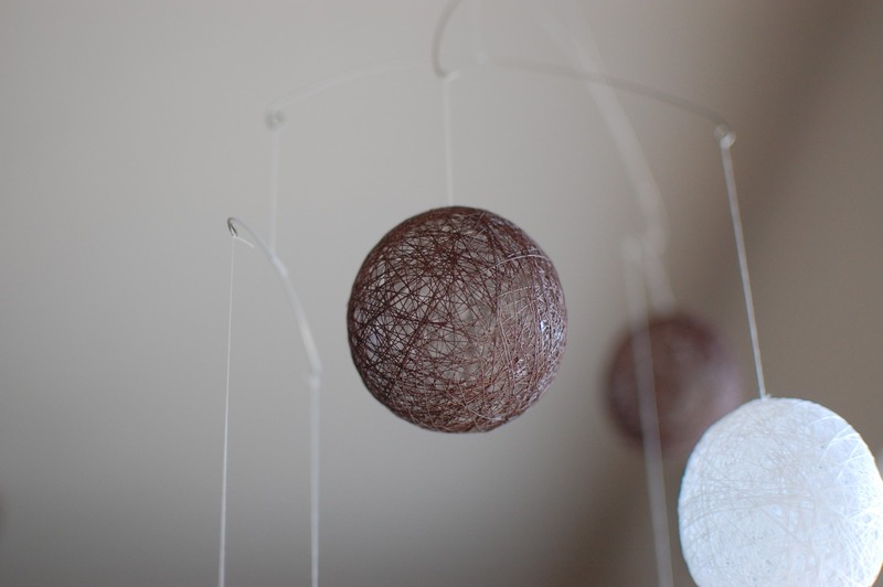 DSC_6987_copy_1504x1000