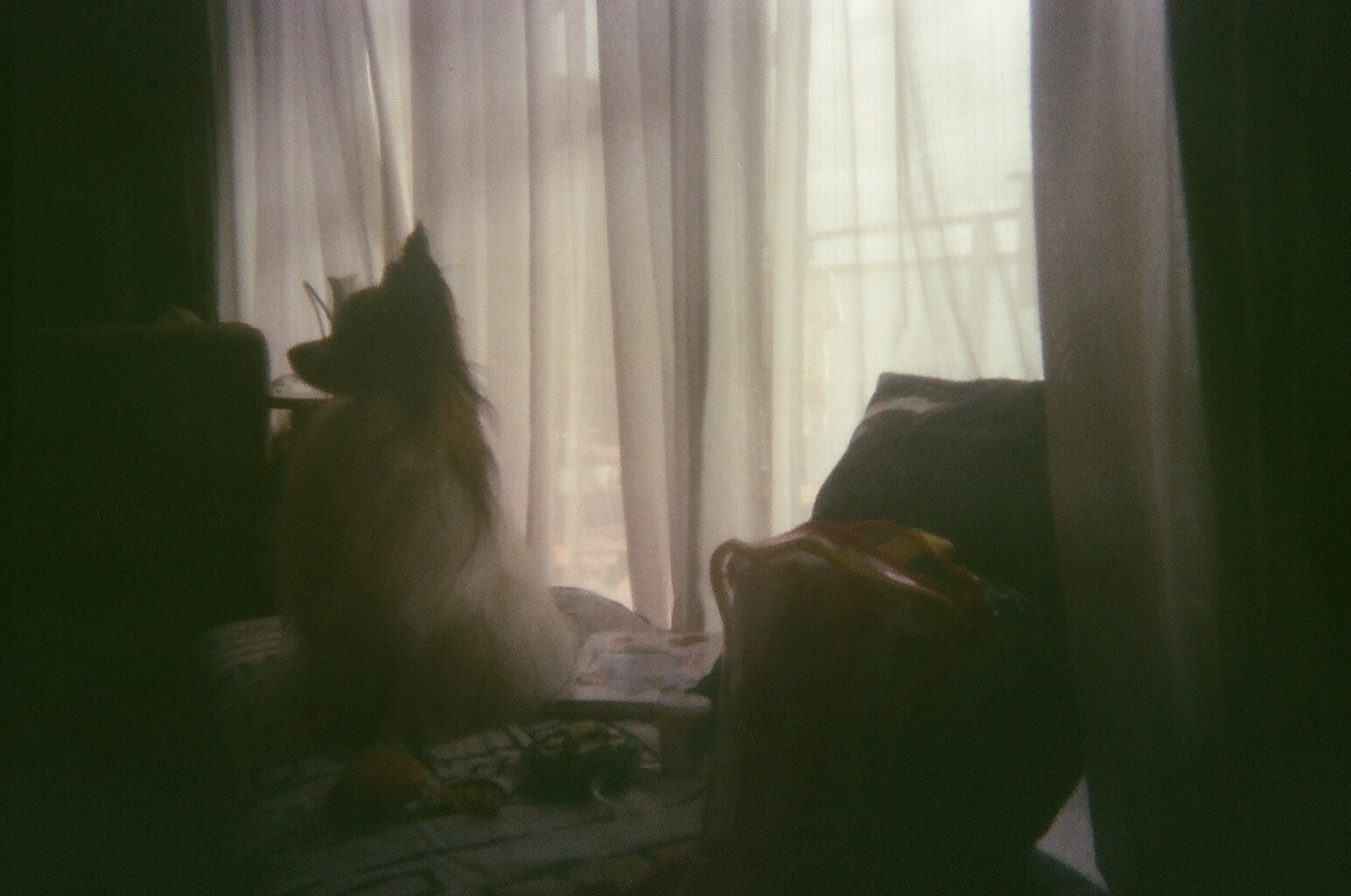 10年前の使い捨てカメラを見つけて現像してみた結果 専業主婦まさきの一日 Powered By ライブドアブログ