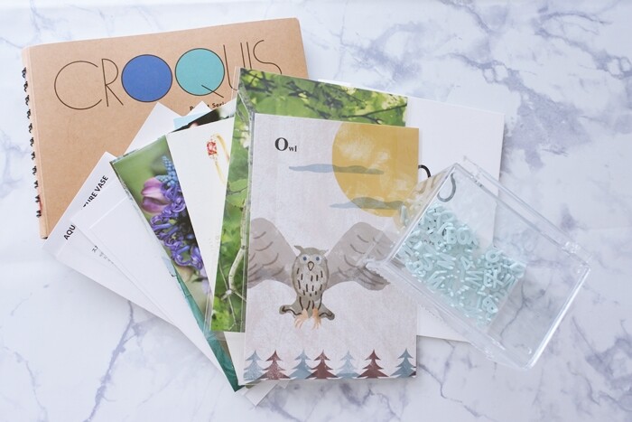 DSC_8566