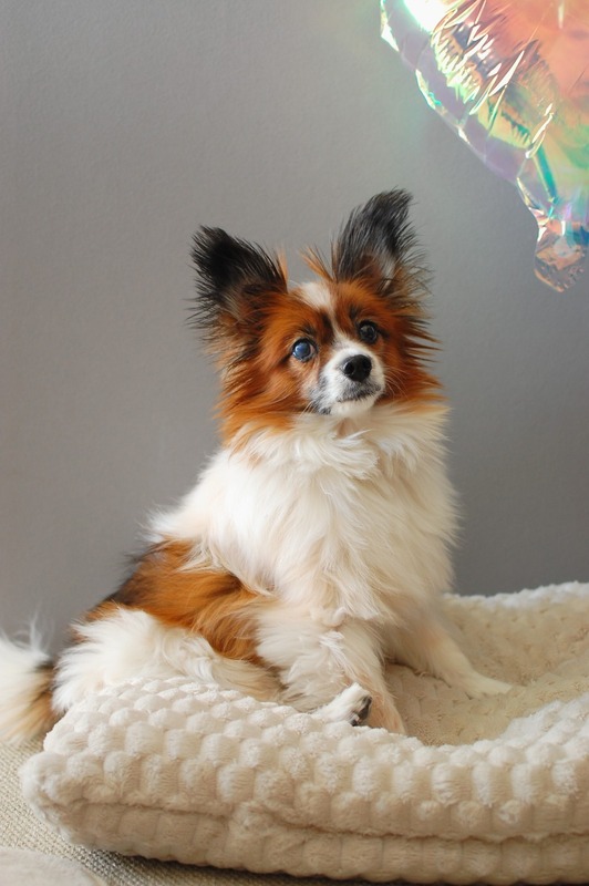 DSC_5630_copy_1000x1504