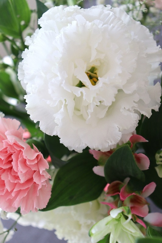 IMG_2122_copy_768x1152