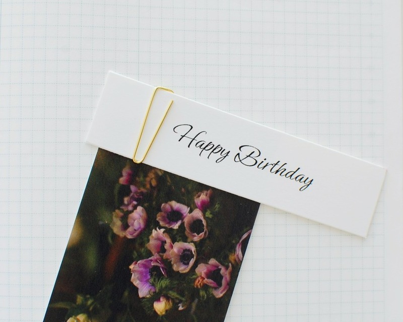 DSC_5467_copy_1504x1000