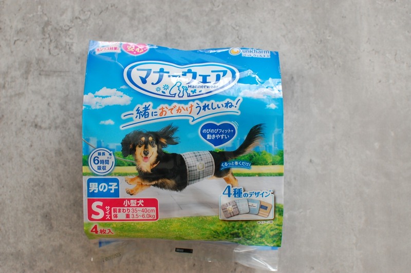 DSC_7312_copy_1504x1000