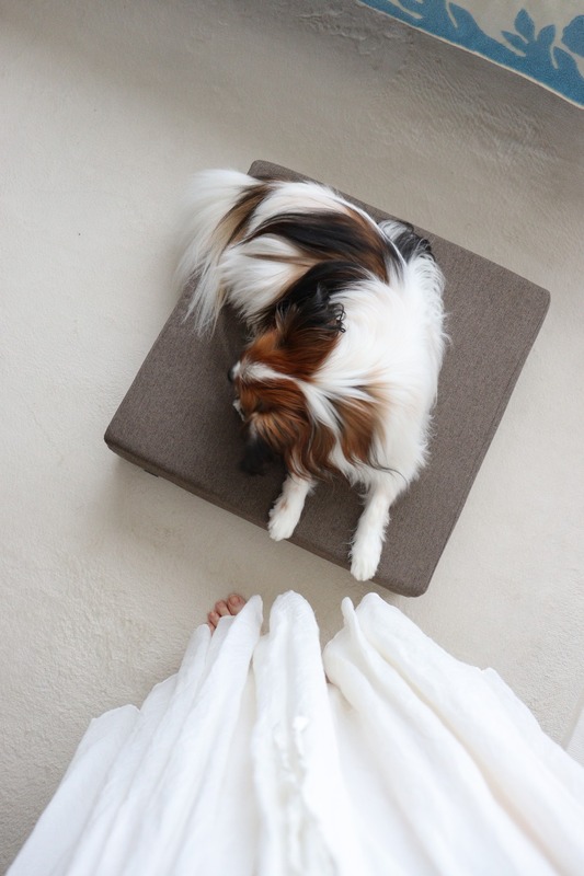 IMG_4178_copy_1000x1500