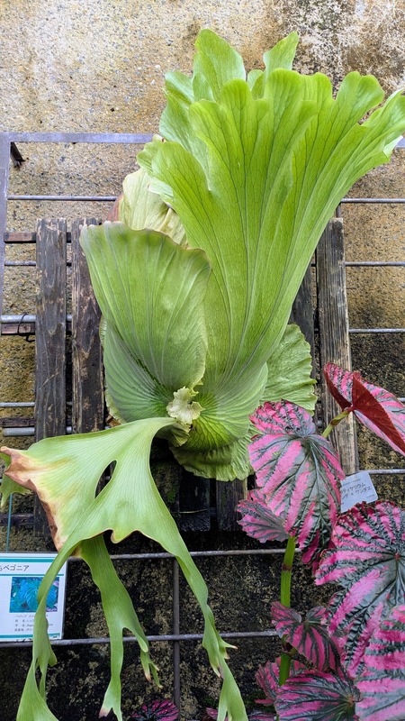 PXL_20251123_044103752~2