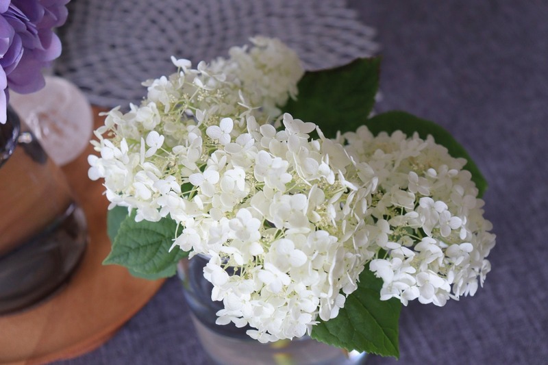 IMG_6140_copy_1500x1000