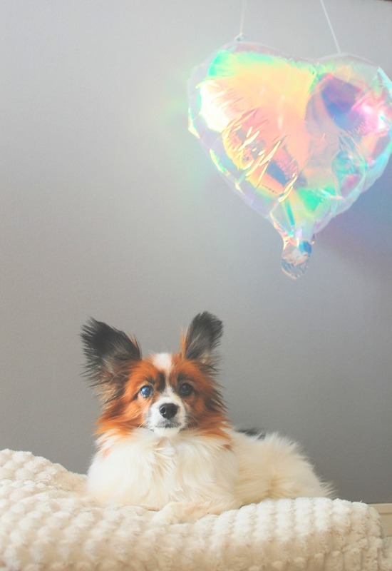 DSC_5619_copy_1000x1504