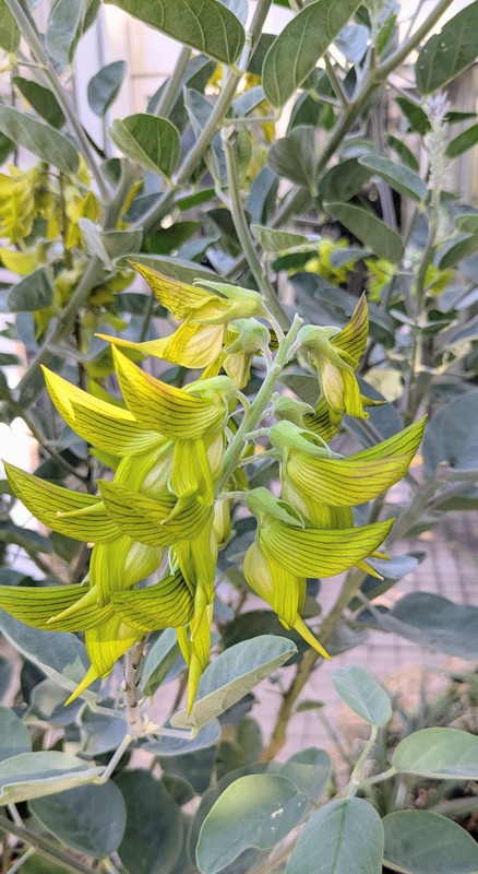 PXL_20251123_044629809~2