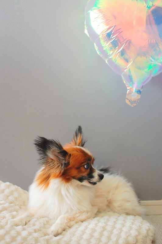 DSC_5611_copy_1000x1504