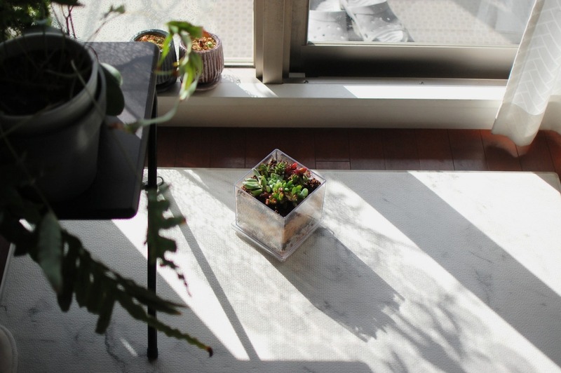 DSC_5921_copy_1000x1504