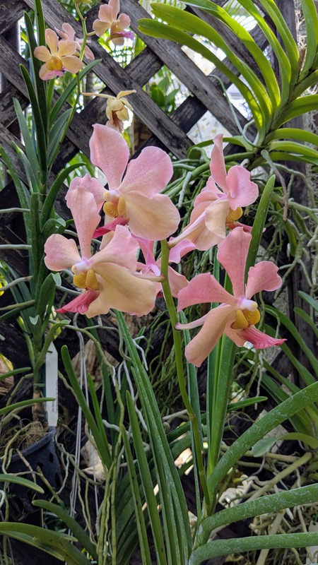 PXL_20251123_050021222~2