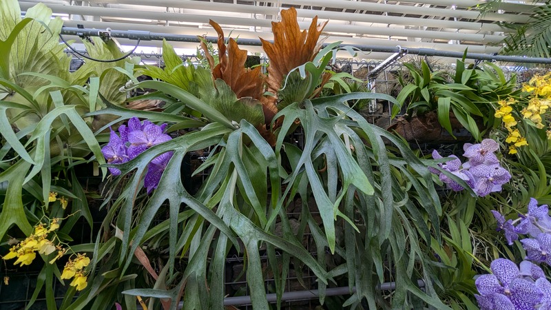 PXL_20251123_050209454