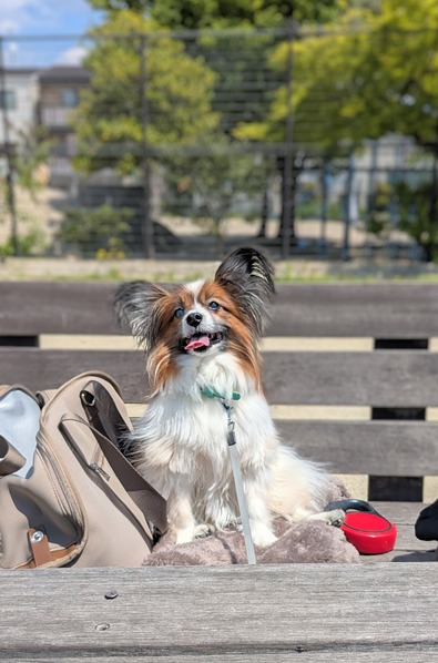 PXL_20250429_035145783~2