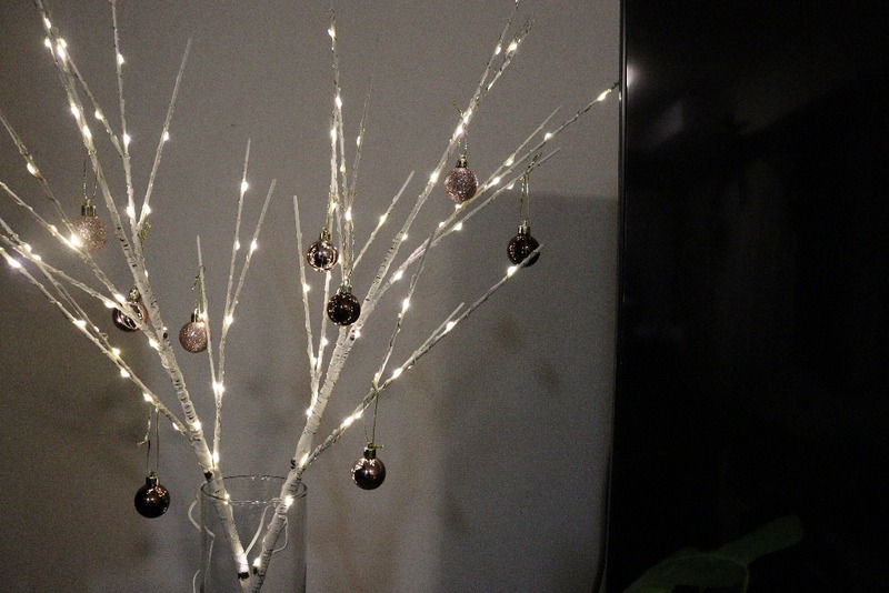 IMG_2353_copy_1024x683