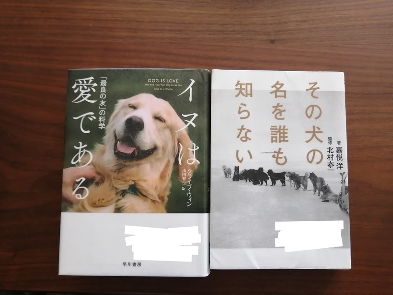 IMG_20240319_154640_edit_8987351372133829