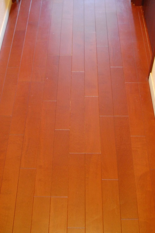 DSC_6500_copy_1000x1504