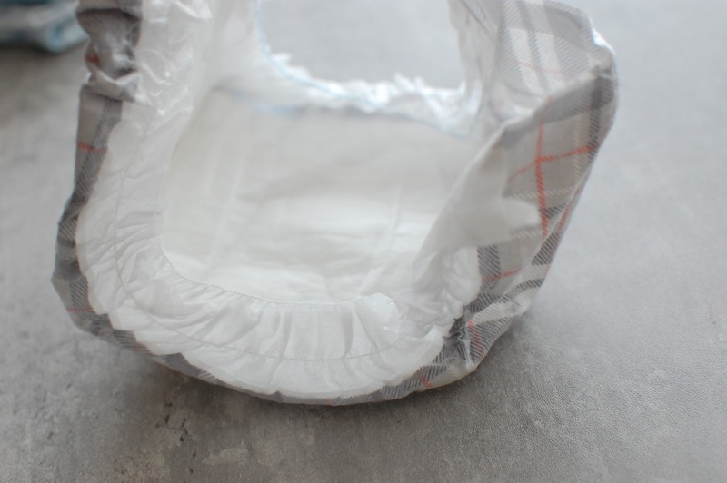 DSC_7316_copy_1504x1000