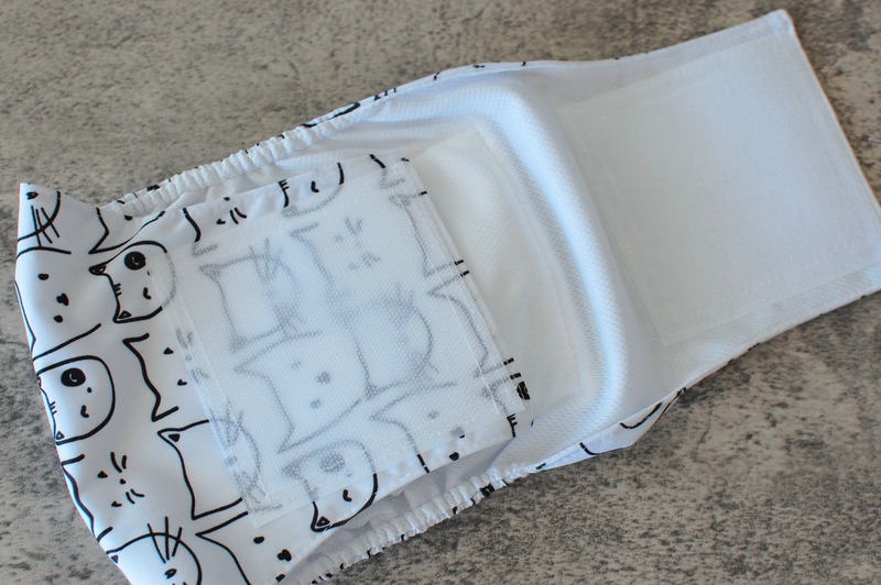 DSC_7380_copy_1504x1000