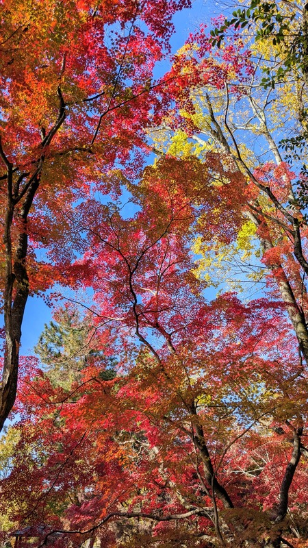 PXL_20251123_025329103~2