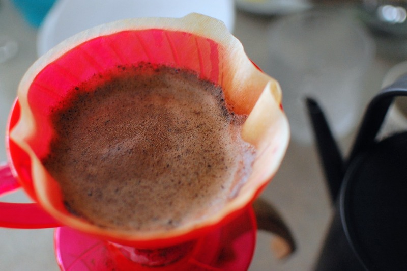 DSC_6275_copy_1504x1000