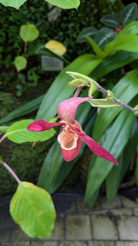 PXL_20251123_044025889