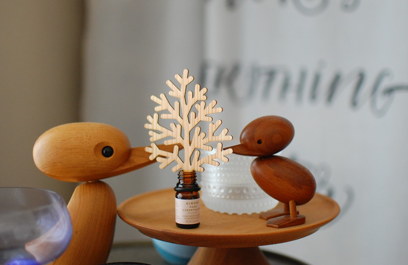 DSC_6916_copy_1504x1000