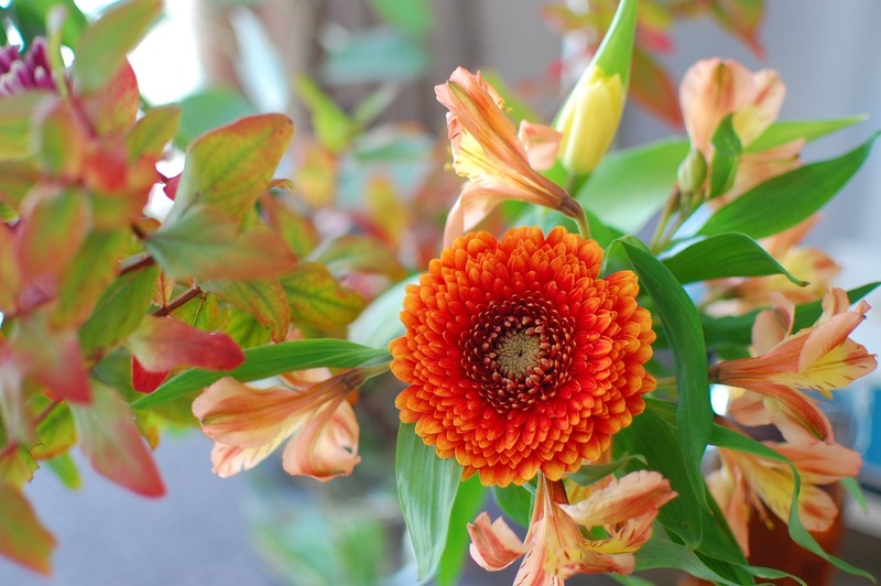 DSC_5460_copy_1504x1000