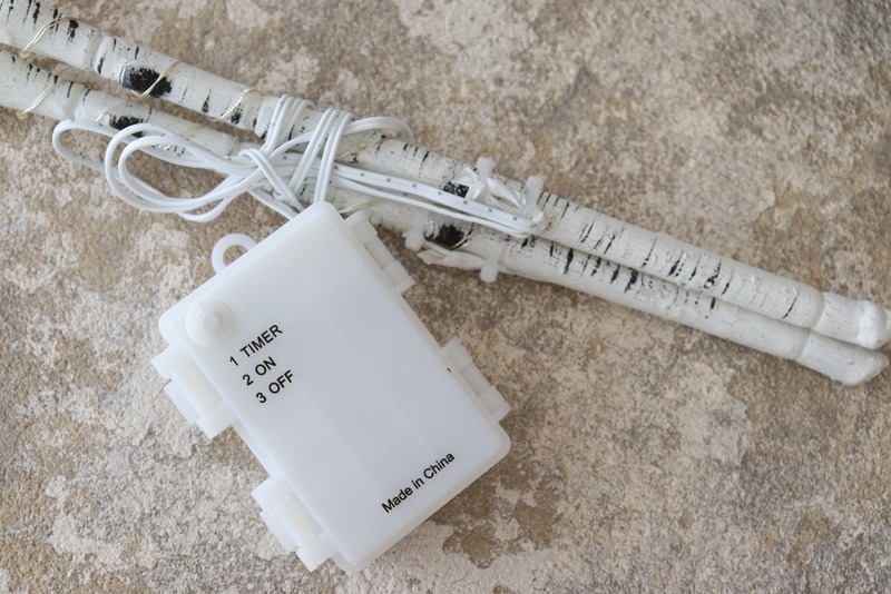 IMG_2311_copy_1024x683