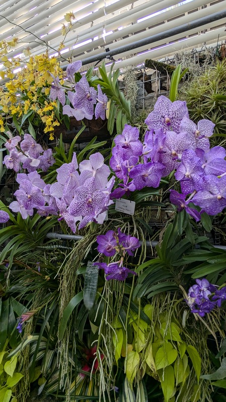 PXL_20251123_050148305