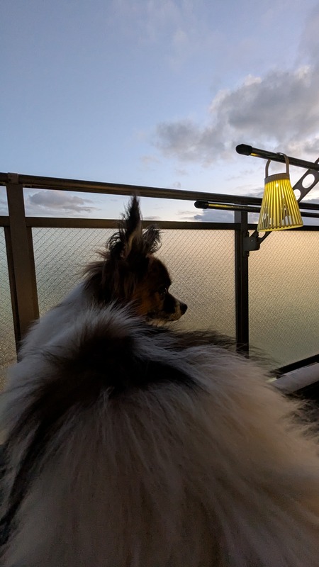 PXL_20251013_084709724