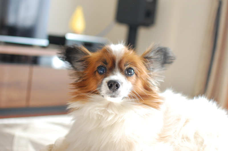 DSC_5586