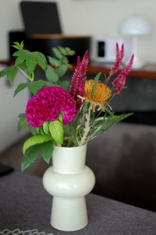 DSC_5163_copy_800x1203