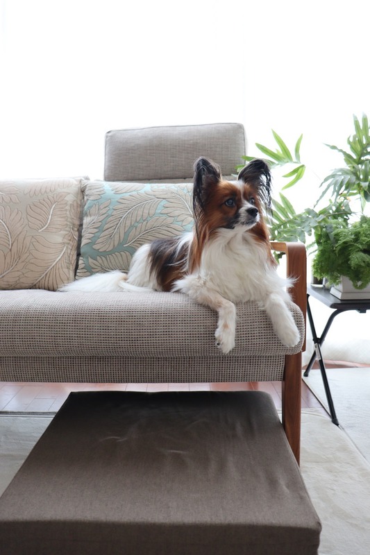 IMG_4141_copy_1000x1500