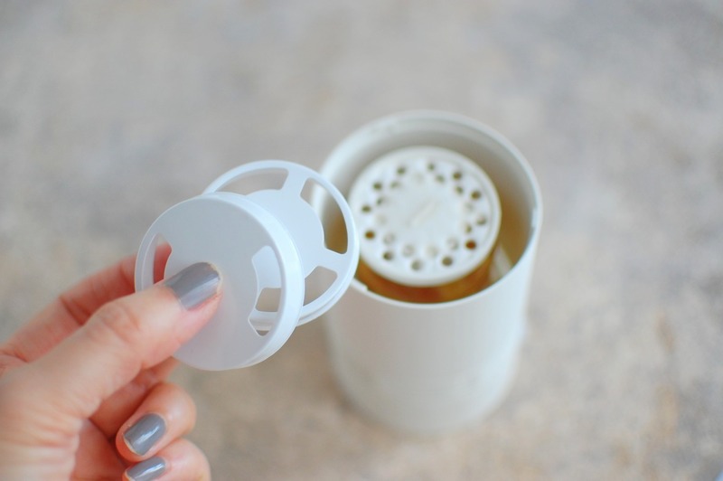 DSC_6058_copy_1504x1000