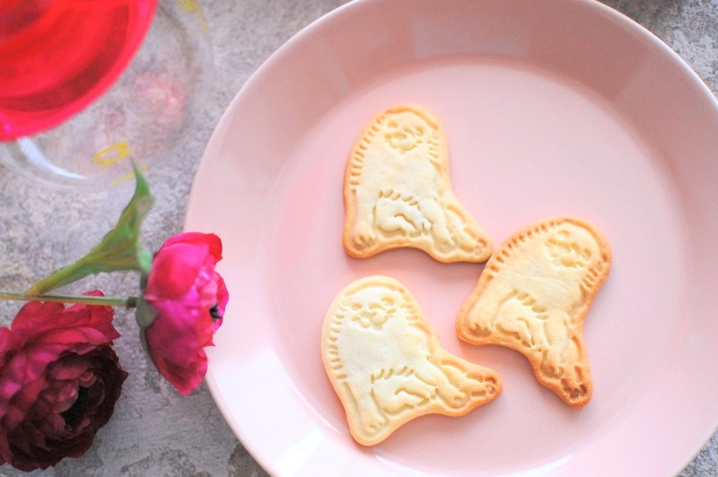 DSC_6262_copy_1504x1000