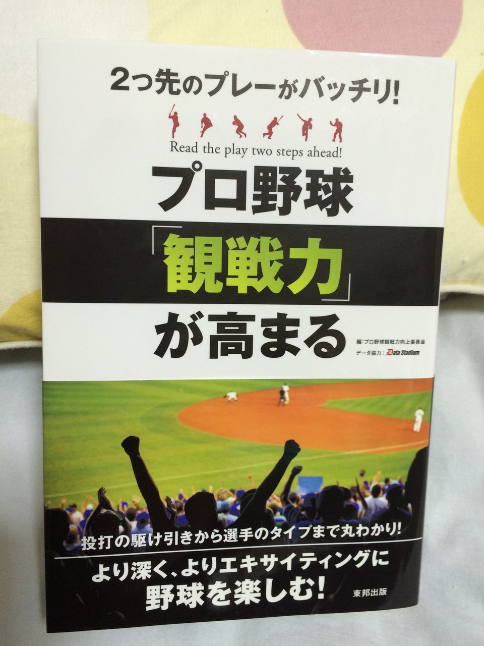 かるたーさんの野球観戦スタイルについて かるたーさんとかのblog かるたーさんの野球観戦スタイルについて かるたーさんとかのblog