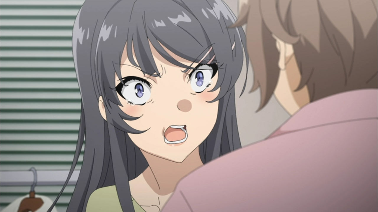 アニメ映画 青ブタ 感想やら解説やら補完やら 後編 かるたーさんとかのblog