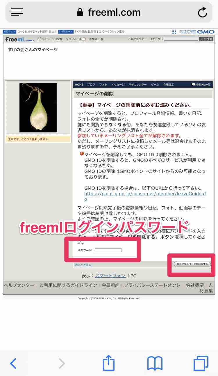 40代の解約 Freemlとgmo Idの解約方法 3段階あるので注意 マサキさんがやってみたブログ