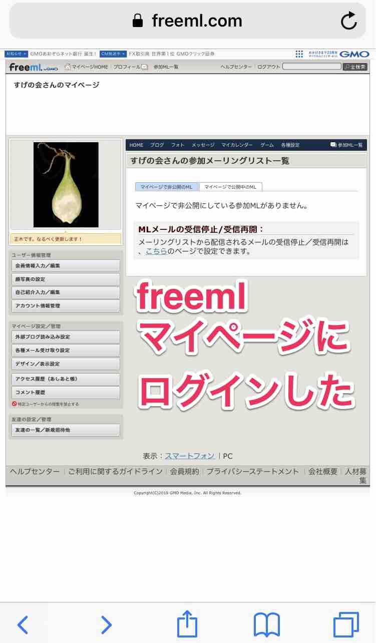 40代の解約 Freemlとgmo Idの解約方法 3段階あるので注意 マサキさんがやってみたブログ