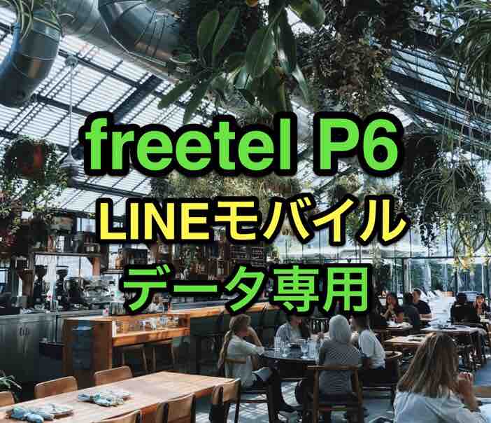 40代のlineモバイル 新品freetel P6にデータ専用simを入れて動かすまでを詳しく解説 マサキさんがやってみたブログ