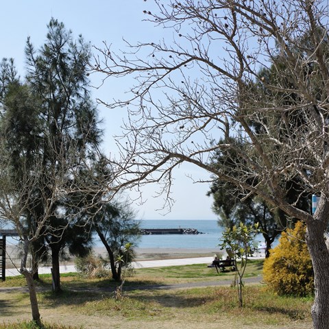 R0011196