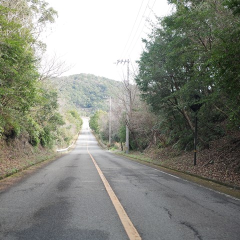 R0008264