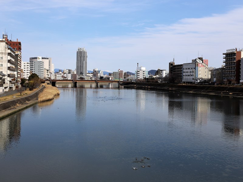 のんびりと高知で のんびりと高知で