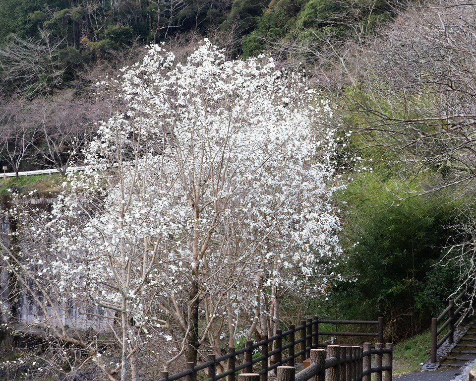 IMG_3295