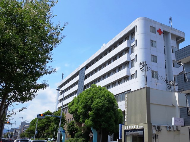 のんびりと高知で 高知洋食 のんびりと高知で 高知洋食