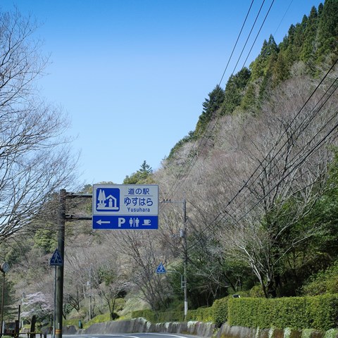 R0011731