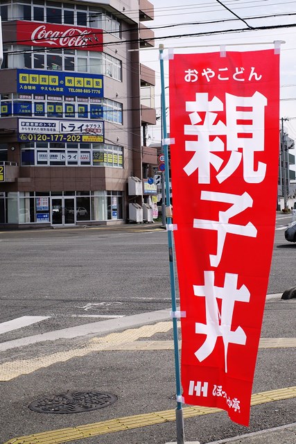 のんびりと高知で