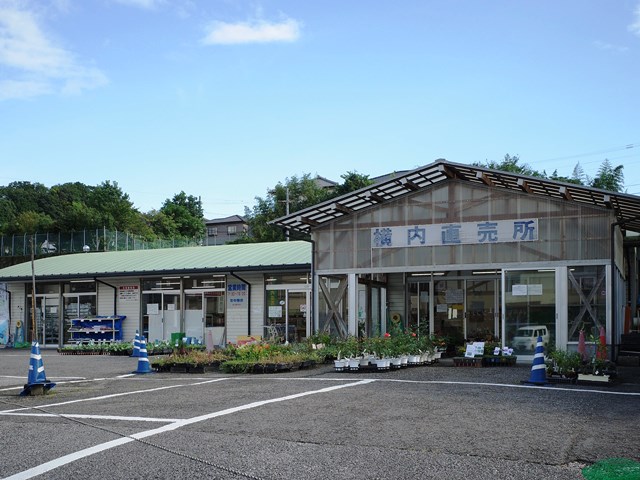 R0013065