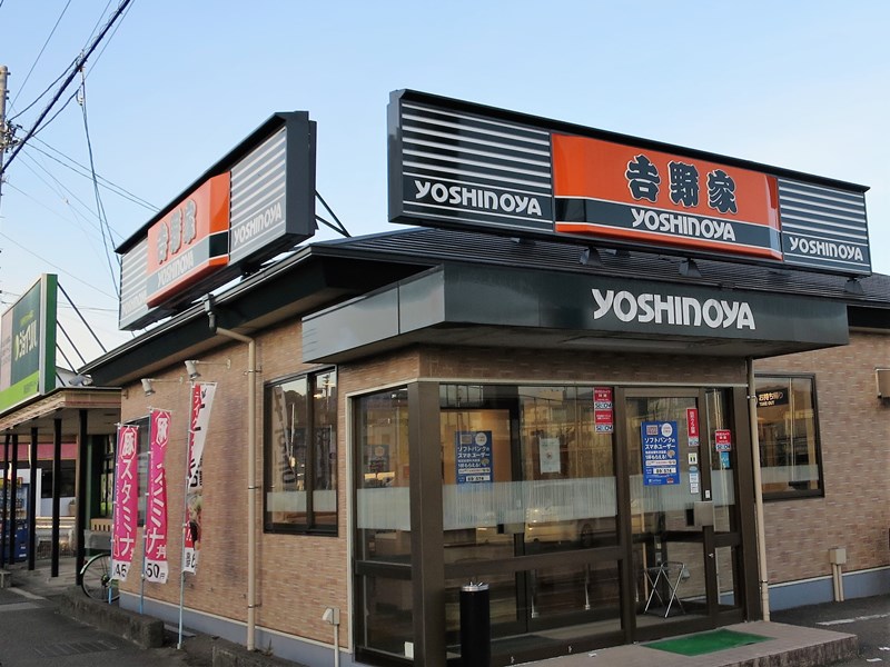 のんびりと高知で 18年02月15日 のんびりと高知で 18年02月15日
